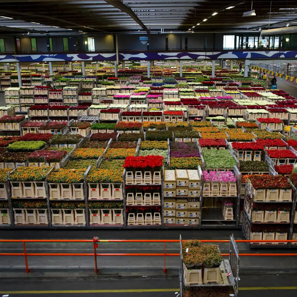 Inventory service from Expedio Payments